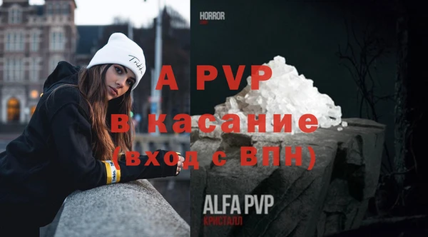 круглые Артём