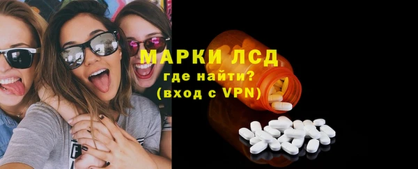 ПСИЛОЦИБИНОВЫЕ ГРИБЫ Ельня