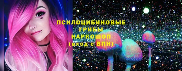 ПСИЛОЦИБИНОВЫЕ ГРИБЫ Вязьма