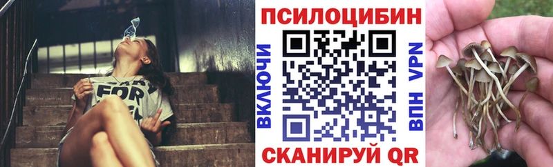 цена Гусиноозёрск Галлюциногенные грибы прущие грибы
