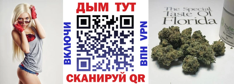 Каннабис сатива  Гусиноозёрск 
